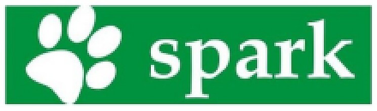Spark