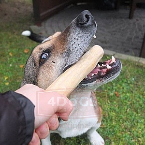 4DOGS Gryzak z drzewa kawowego M