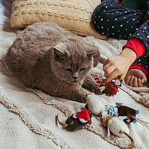 Dingo Zabawka dla kota - Jeżomyszka MOP