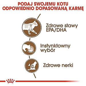 Royal Canin Ageing +12 karma mokra w sosie dla kotów dojrzałych saszetka 85g