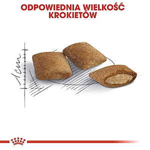 Royal Canin Ageing +12 karma sucha dla kotów dojrzałych 2kg