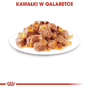Royal Canin Ageing +12 karma mokra w galaretce dla kotów dojrzałych saszetka 85g
