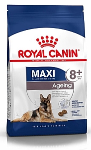 Royal Canin Maxi Ageing 8+ karma sucha dla psów dojrzałych, po 8 roku życia, ras dużych 15kg
