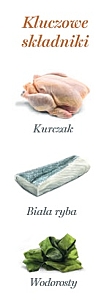 Amanova Cat Kitten Chicken & Fish - kurczak i biała ryba saszetka 85g [P09]