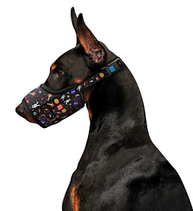 Collar WauDog Nylon Kaganiec, plastikowy fastex, wzór NASA, rozmiar 4 [35-43cm]