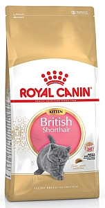 Royal Canin British Shorthair Kitten karma sucha dla kociąt, do 12 miesiąca, rasy brytyjski krótkowłosy 400g