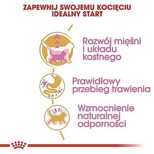 Royal Canin British Shorthair Kitten karma sucha dla kociąt, do 12 miesiąca, rasy brytyjski krótkowłosy 400g