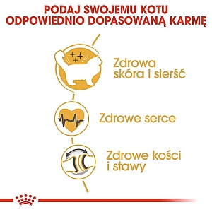 Royal Canin Ragdoll Adult karma sucha dla kotów dorosłych rasy ragdoll 400g