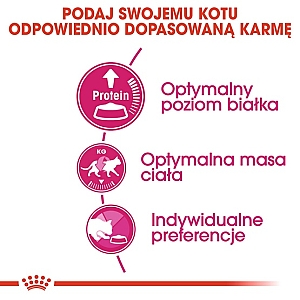 Royal Canin Exigent Protein Preference karma sucha dla kotów dorosłych, wybrednych, kierujących się białkiem 400g