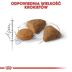 Royal Canin Savour Exigent karma sucha dla kotów dorosłych, wybrednych, kierujących się teksturą krokieta 400g