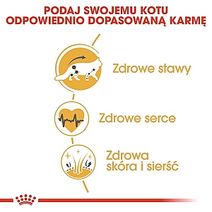 Royal Canin Maine Coon Adult karma sucha dla kotów dorosłych rasy maine coon 400g
