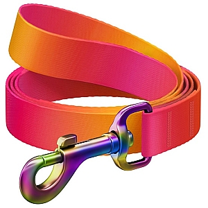 Collar WauDog Recycled Smycz nylonowa, gradient L-XXL 25mm/122cm pomarańczowy