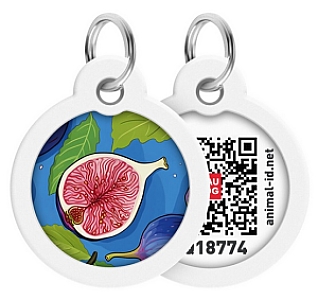 Collar WauDog Smart ID Zawieszka z QR-paszportem okrągła 3cm figa