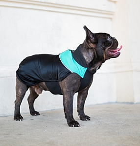 Chaba Ubranko regulowane Wear Magnifique 3XL zielone