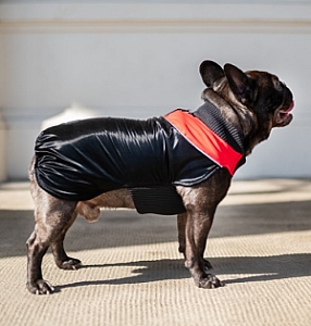 Chaba Ubranko regulowane Wear Magnifique 3XL czerwone