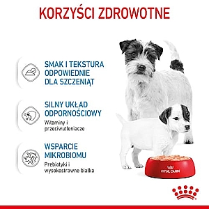 Royal Canin Starter Mother&Babydog karma mokra - mus, dla suk w czasie ciąży, laktacji oraz szczeniąt puszka 195g