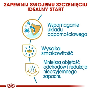 Royal Canin Chihuahua Puppy karma sucha dla szczeniąt do 8 miesiąca, rasy chihuahua 0,5kg