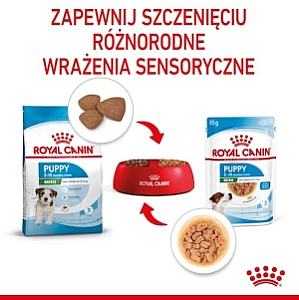 Royal Canin Mini Puppy karma mokra w sosie dla szczeniąt, od 2 do 10 miesiąca życia, ras małych saszetka 85g