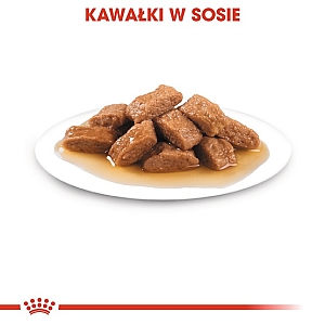 Royal Canin Medium Adult karma mokra w sosie dla psów dorosłych, ras średnich saszetika 140g