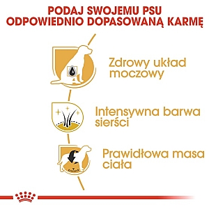 Royal Canin Miniature Schnauzer Adult karma sucha dla psów dorosłych rasy schnauzer miniaturowy 3kg