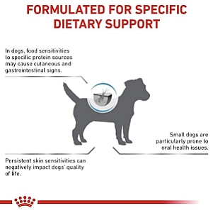 Royal Canin Veterinary Diet Canine Anallergenic Small 3kg
