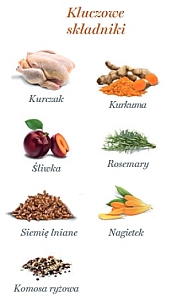 Amanova Dog Adult Exquisite Chicken - kurczak saszetka 100g [P03]