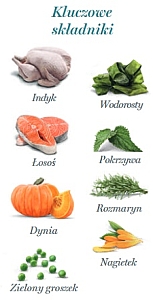 Amanova Dog Adult Tasty Salmon & Turkey - łosoś i indyk saszetka 300g [P06]