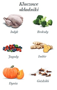 Amanova Dog Adult Turkey Delight - indyk saszetka 300g [P07]