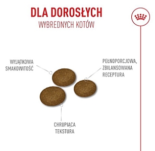 Royal Canin Fussy Exigent karma sucha dla kotów dorosłych, wybrednych 2kg