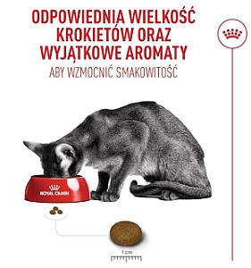 Royal Canin Fussy Exigent karma sucha dla kotów dorosłych, wybrednych 2kg