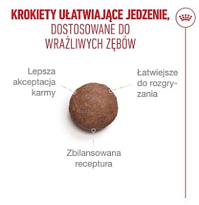 Royal Canin Ageing +15 karma sucha dla kotów dojrzałych 4kg