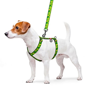 Collar WauDog Nylon Szelki nylonowe anatomiczne w kształcie litery H, z QR-paszportem, plastikowy fastex, wzór AWOKADO, rozmiar M 20mm