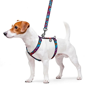 Collar WauDog Nylon Szelki nylonowe anatomiczne w kształcie litery H, z QR-paszportem, plastikowy fastex, wzór LATO, rozmiar L 25mm