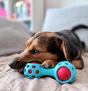 Zolux Zabawka na przysmaki gryzak hantel 13cm