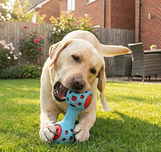 Zolux Zabawka na przysmaki gryzak hantel 13cm