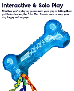 Petstages Orka Mini Kosteczka PS221