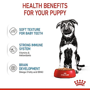 Royal Canin Maxi Puppy karma mokra w sosie dla szczeniąt, od 2 do 15 miesiąca życia, ras dużych saszetka 140g