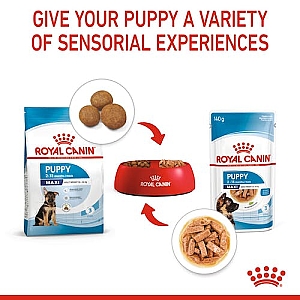 Royal Canin Maxi Puppy karma mokra w sosie dla szczeniąt, od 2 do 15 miesiąca życia, ras dużych saszetka 140g