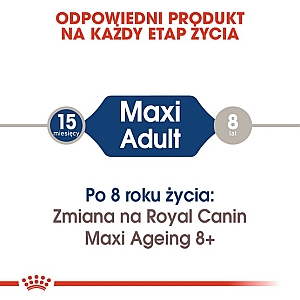Royal Canin Maxi Adult karma mokra w sosie dla psów dorosłych, do 5 roku życia, ras dużych saszetka 140g