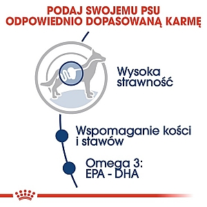 Royal Canin Maxi Adult karma mokra w sosie dla psów dorosłych, do 5 roku życia, ras dużych saszetka 140g