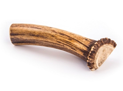 4DOGS Gryzak z poroża S easy