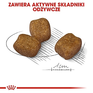 Royal Canin Mini Dental Care karma sucha dla psów dorosłych, ras małych, redukująca powstawanie kamienia nazębnego 1kg