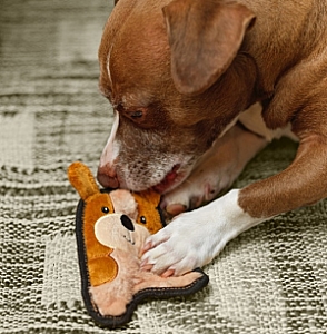 Outward Hound Invincibles Minis Waleczny szczeniaczek 67807