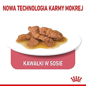 Royal Canin Indoor Sterilised sos karma mokra dla kotów dorosłych sterylizowanych, przebywających w domu saszetka 85g