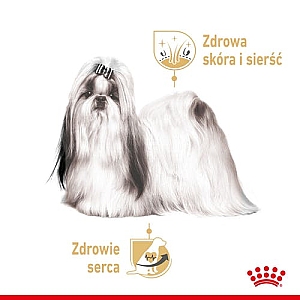 Royal Canin Shih Tzu Adult karma mokra dla psów dorosłych rasy shih tzu saszetka 85g