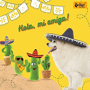 Dingo Zabawka dla psa - Kaktus Familia 20cm