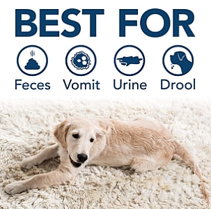 Simple Solution Extreme Stain & Odour Remover - preparat neutralizujący plamy i zapachy 954ml