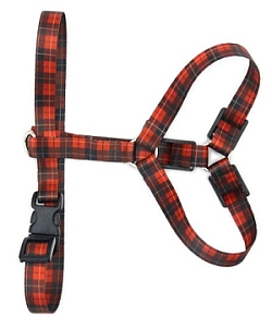 Matteo Szelki Guard 30mm szkocka krata