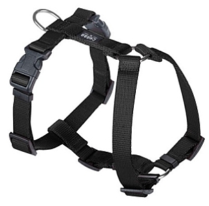 CHABA Szelki Guard M 2,0cm czarne