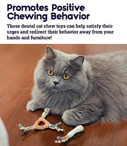 Petstages Gryzaki do higieny zębów kota PS326